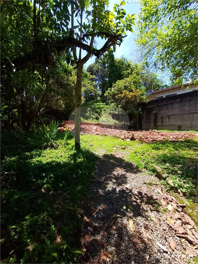 Foto REO1051980