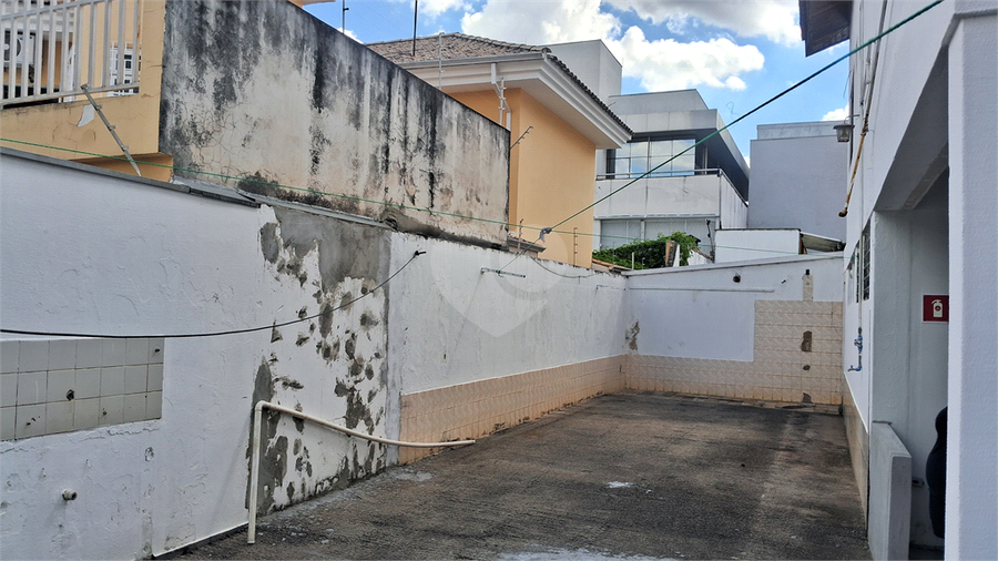 Foto REO1051986