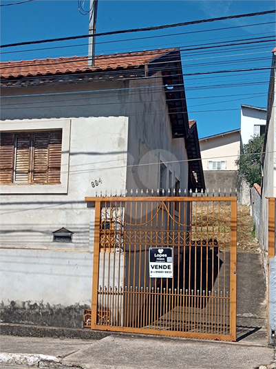 Foto REO1052081