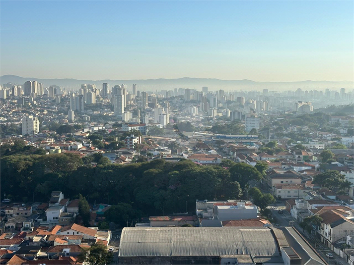 Foto REO1052084