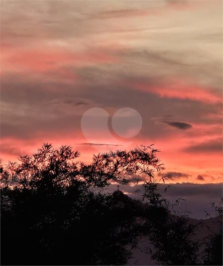 Foto REO1052127
