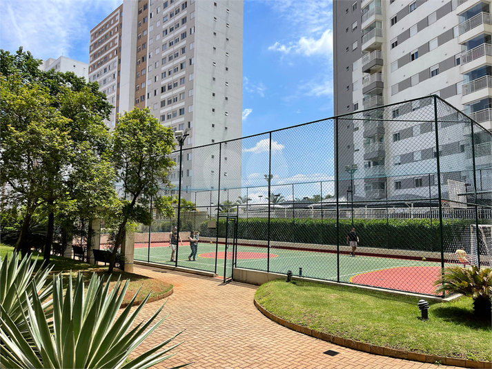 Foto REO1052143