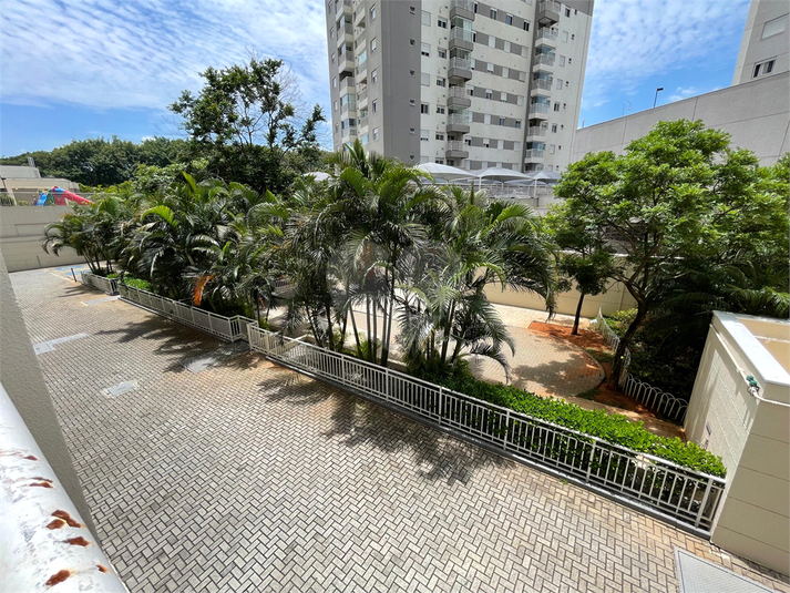Foto REO1052143