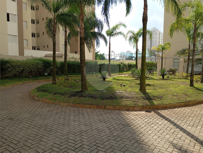 Foto REO1052143