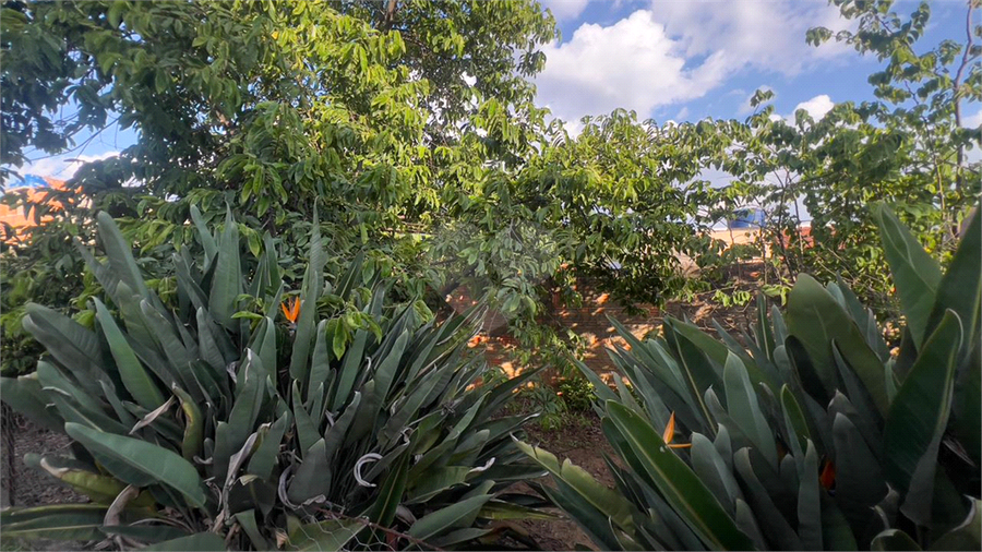 Aluguel Casa Hortolândia Parque Ortolândia REO1052145 32