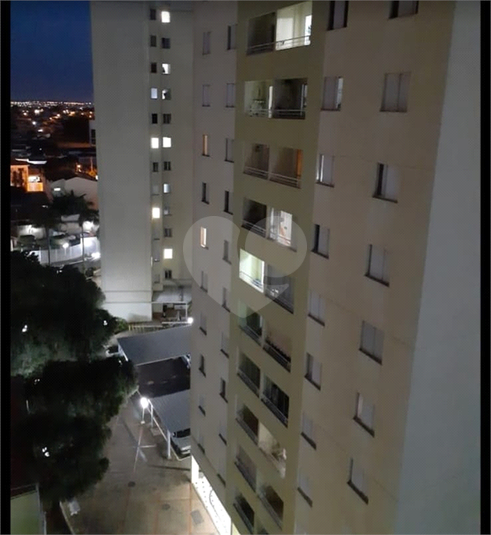 Venda Apartamento Araraquara Jardim Viaduto (vila Xavier) REO1052242 1