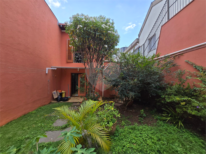 Foto REO1052246