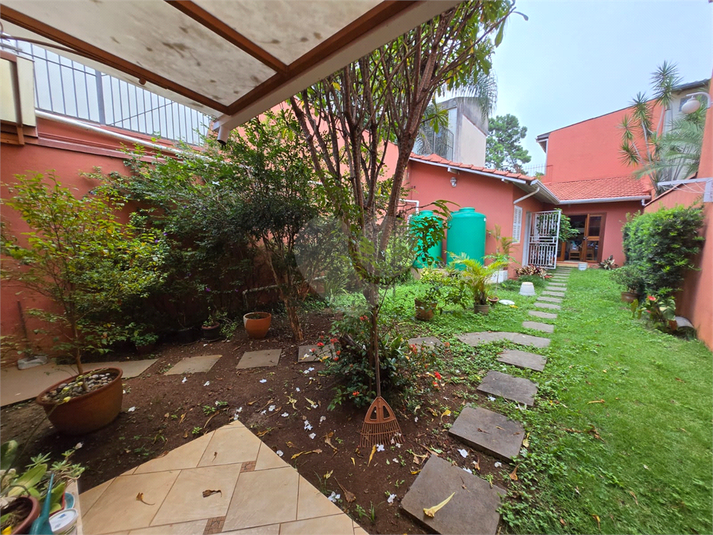 Foto REO1052246
