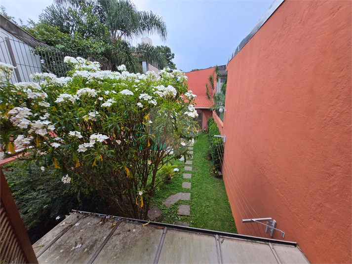 Foto REO1052246
