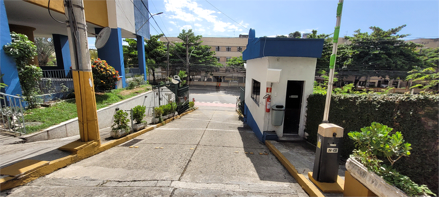 Foto REO1052348