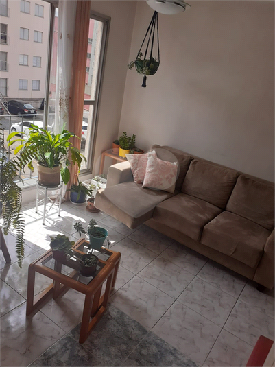 Venda Apartamento São Paulo Jardim Casa Pintada REO1052389 4