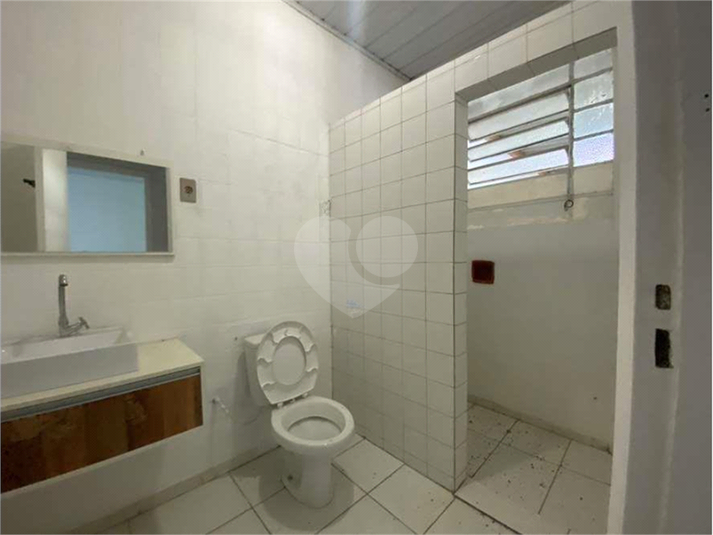 Foto REO1052529