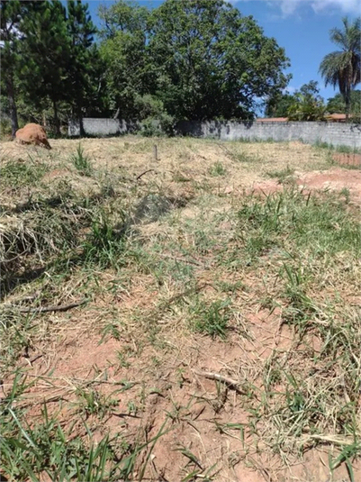 Venda Loteamento Jundiaí Jardim Colônia REO1052541 2