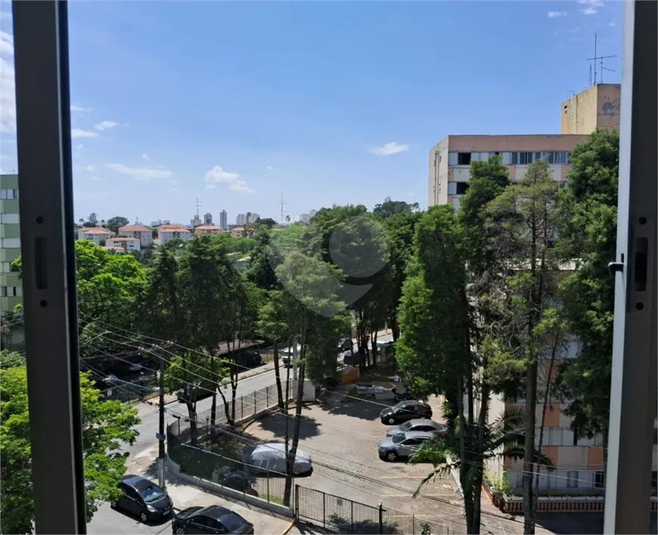 Foto REO1052546