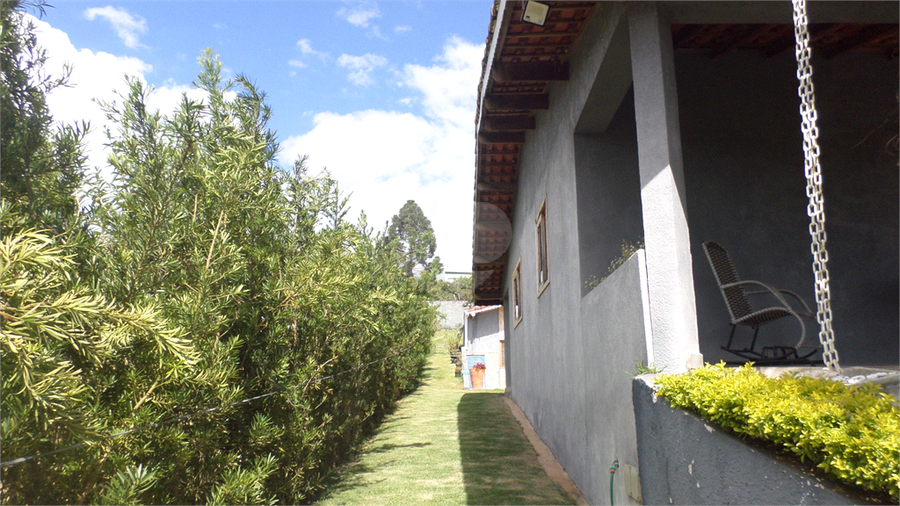 Foto REO1052564