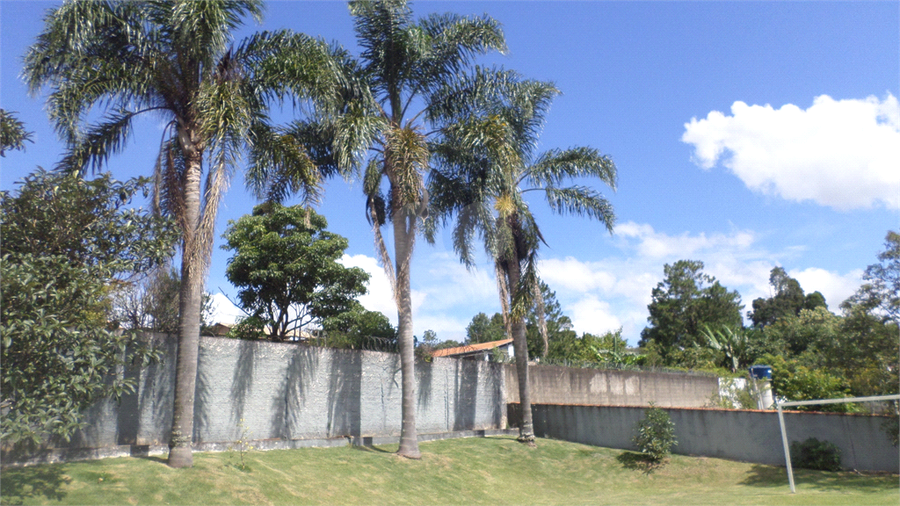 Foto REO1052564
