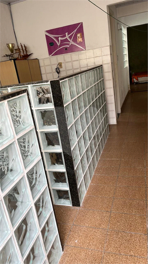 Foto REO1052568