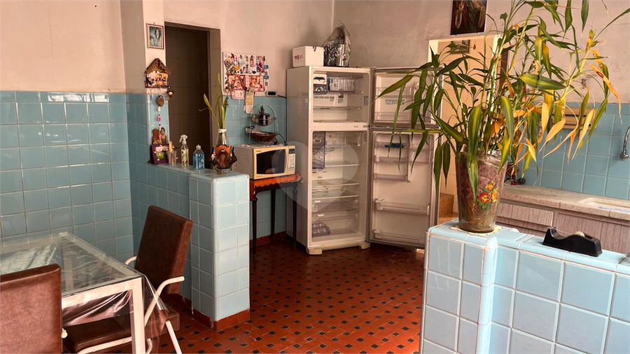 Foto REO1052568