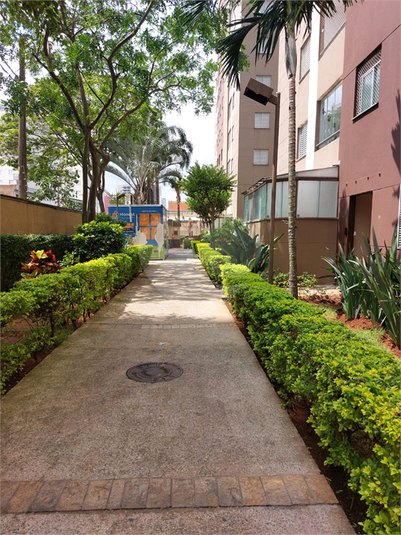 Venda Apartamento São Paulo Sacomã REO1052615 9