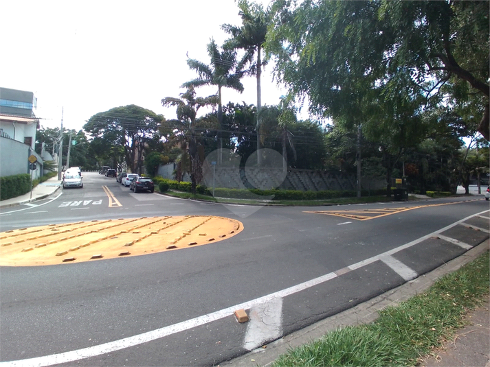 Foto REO1052652
