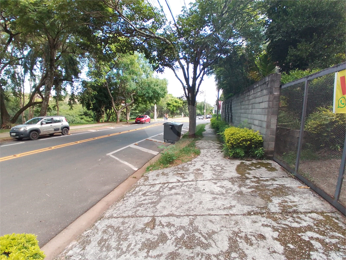 Foto REO1052652