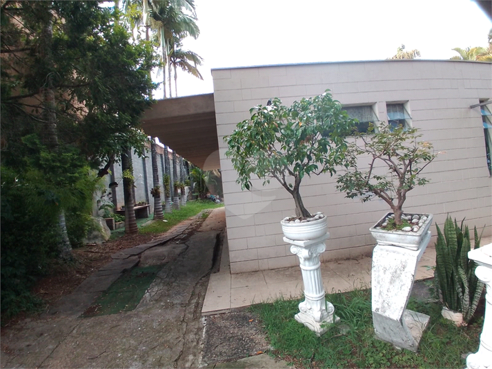 Foto REO1052652