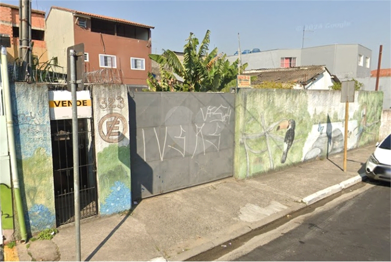 Foto REO1052689