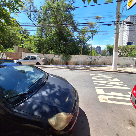 Foto REO1052694