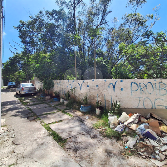 Foto REO1052694