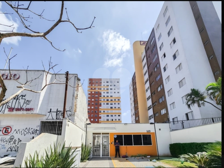 Foto REO1052724