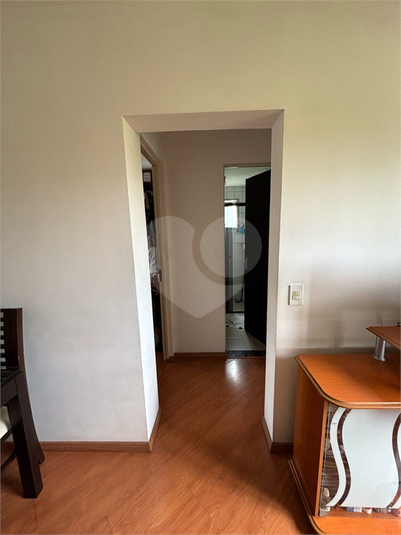 Foto REO1052742