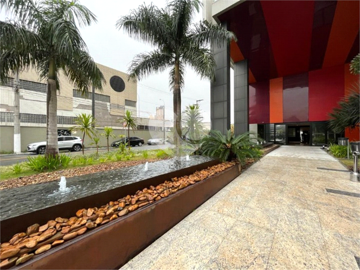Foto REO1052776