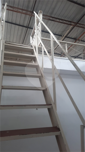 Foto REO1052793