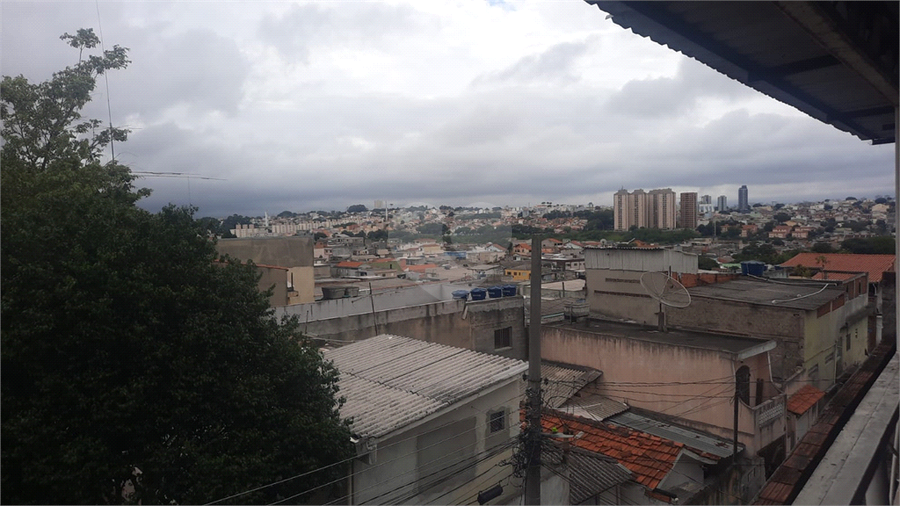 Foto REO1052793