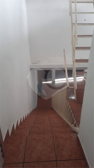 Foto REO1052793