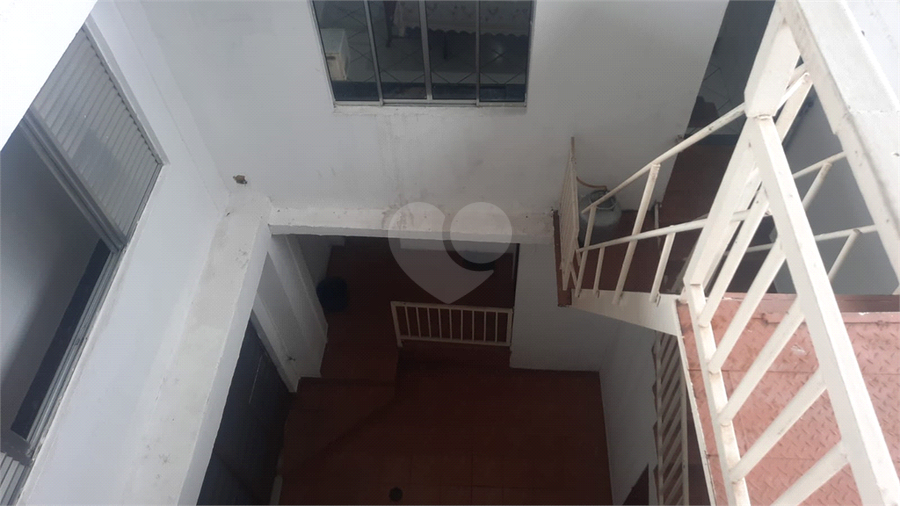Foto REO1052793