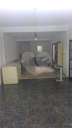 Foto REO1052793