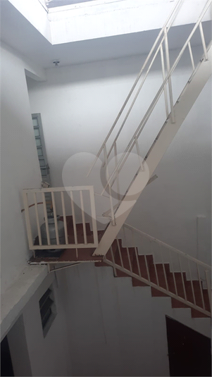 Foto REO1052793