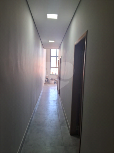 Foto REO1052832