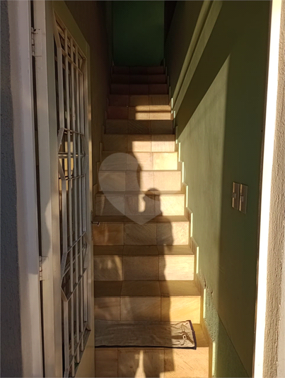 Foto REO1052862