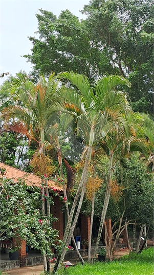 Venda Chácara Porangaba Zona Rural REO1052875 24