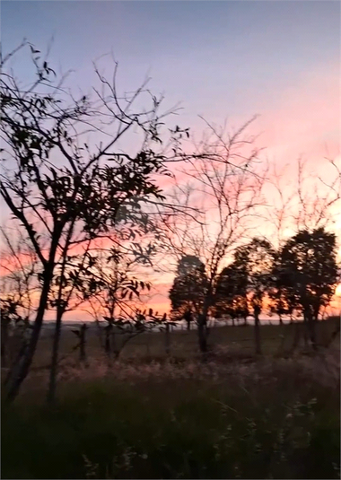 Venda Chácara Porangaba Zona Rural REO1052875 20