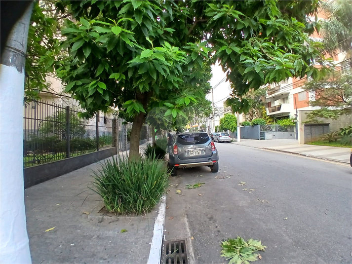 Foto REO1052939