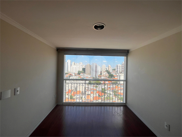 Foto REO1052959