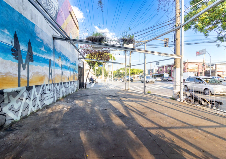 Foto REO1052987