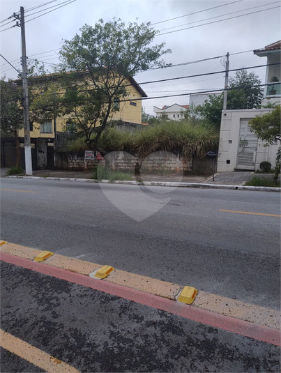 Foto REO1052988