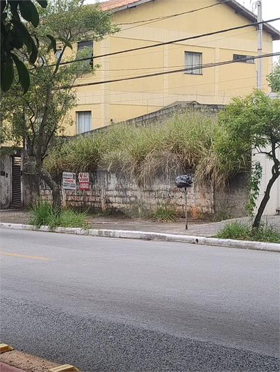 Foto REO1052988