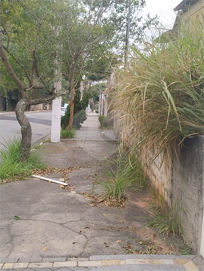 Foto REO1052988