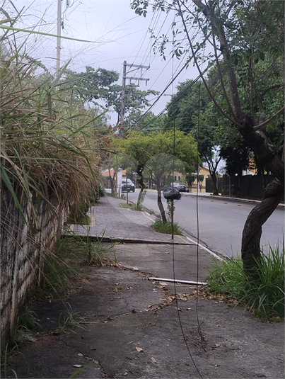 Foto REO1052988