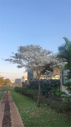 Venda Sobrado Campo Grande Terras Alpha Campo Grande REO1053047 3